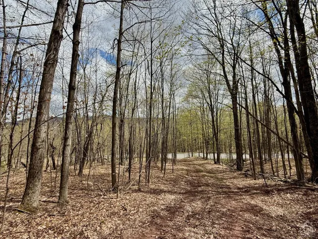 a view of small yard