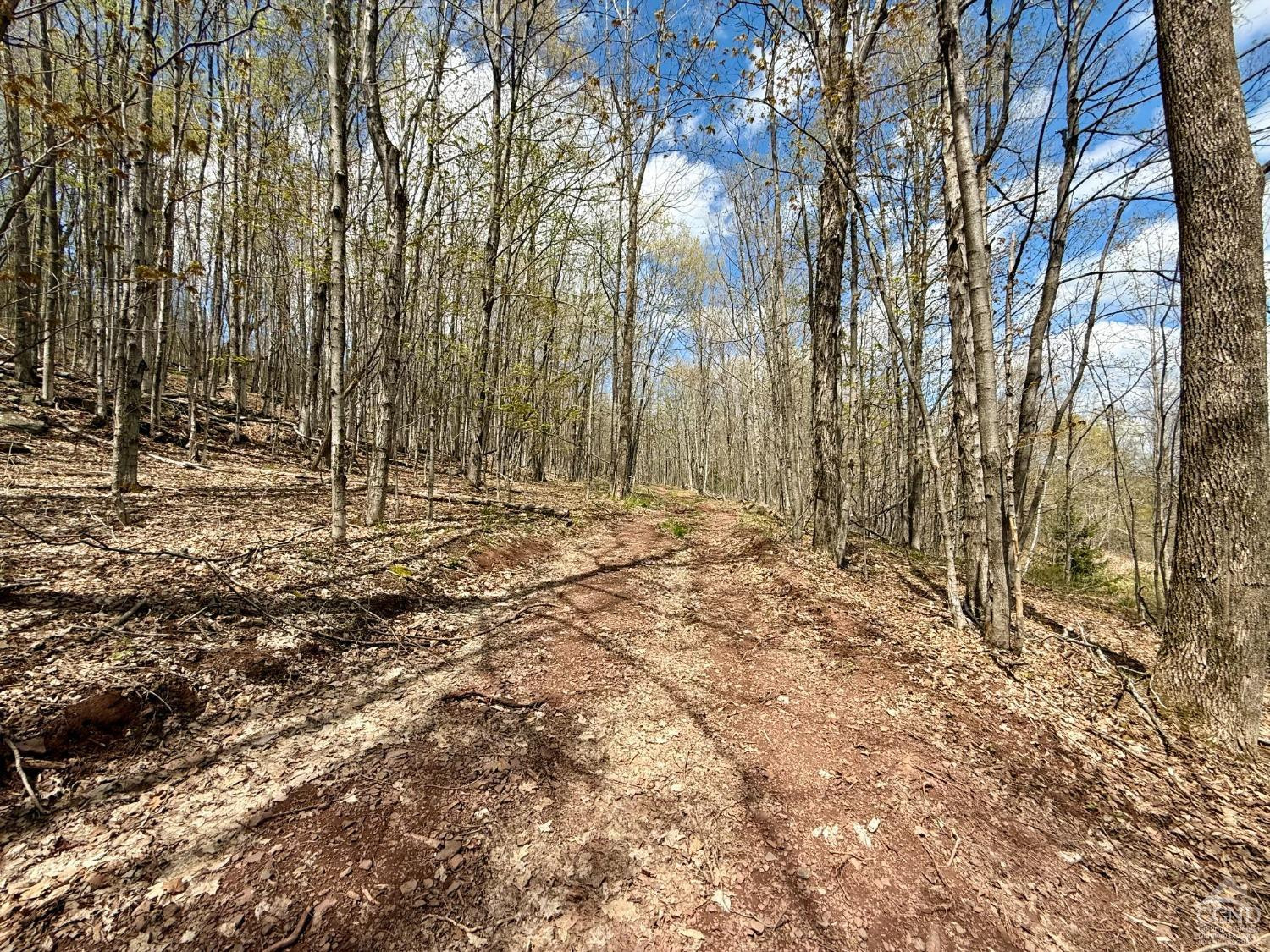 760 County Route 10 Windham, NY 12496 - Photo 8 of 27 a view of outdoor space with trees