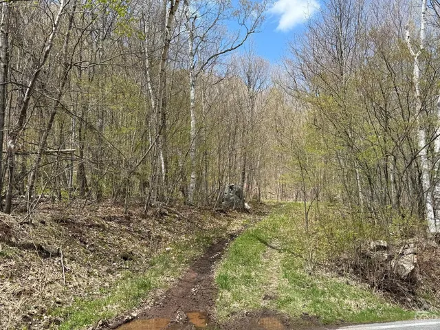 a view of a backyard of the house