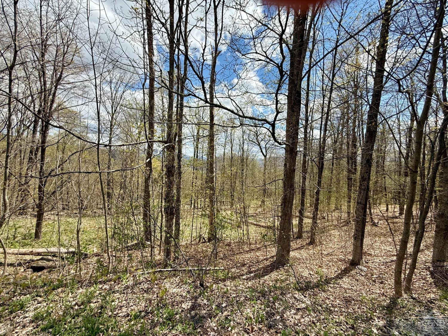 760 County Route 10 Windham, NY 12496 - Photo 10 of 27 a view of a yard covered with snow