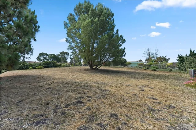 a view of outdoor space and yard