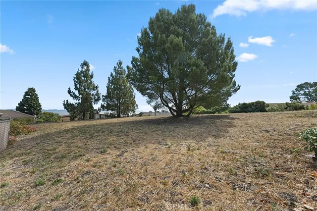 a backyard of a house with a yard and garage