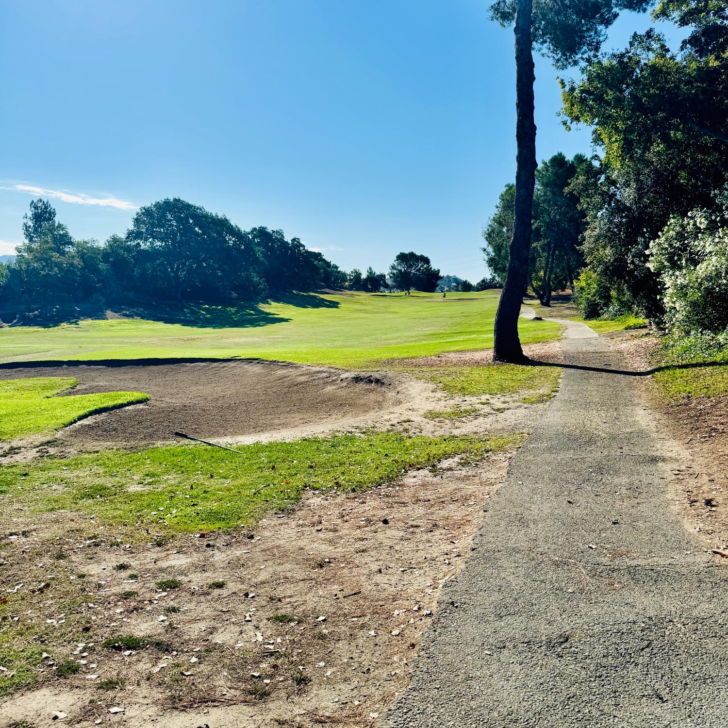 1457 Marchbanks Drive, Unit 1 Walnut Creek, CA 94598 - Photo 12 of 13 a view of an ocean and beach