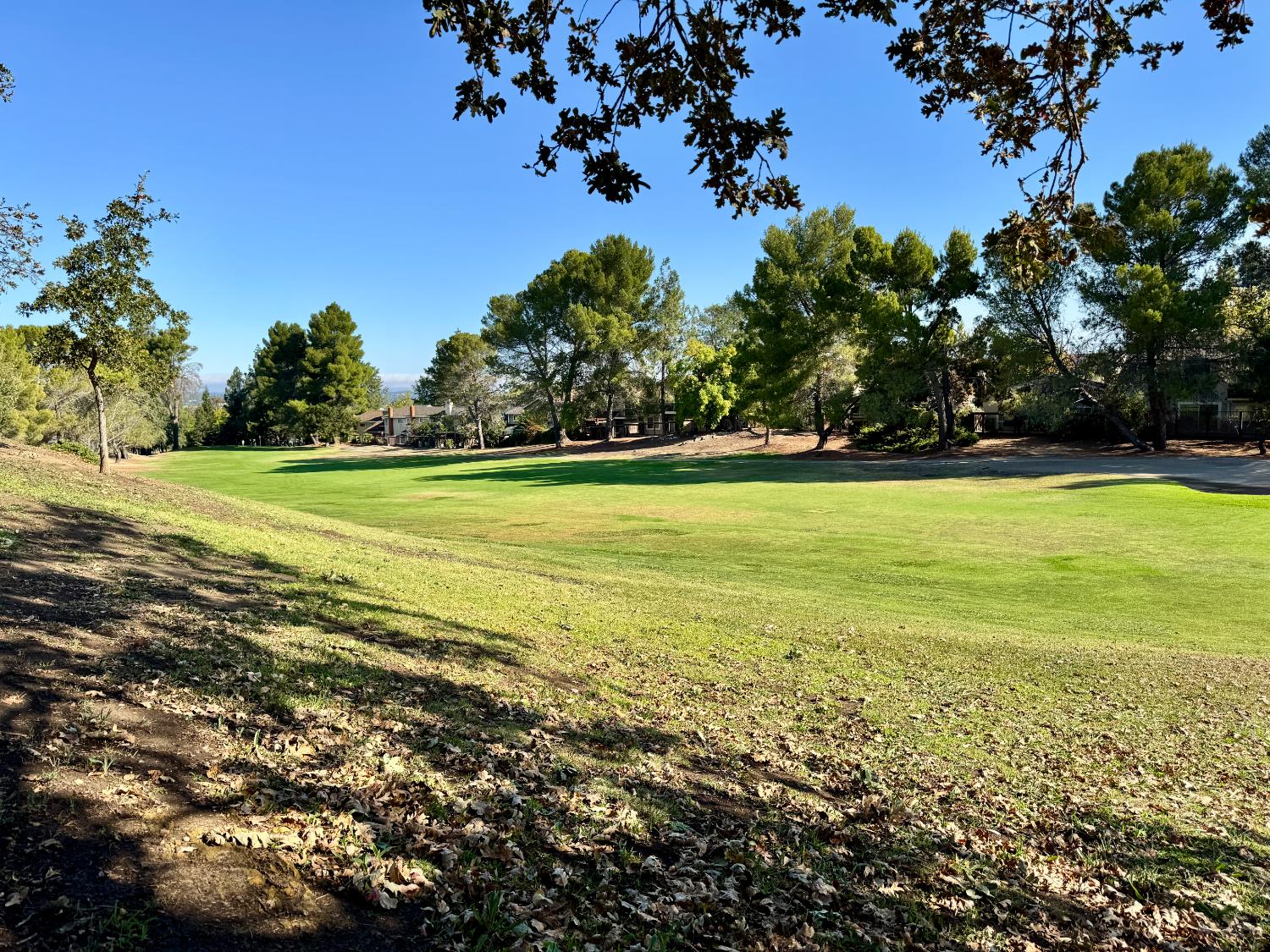 1457 Marchbanks Drive, Unit 1 Walnut Creek, CA 94598 - Photo 13 of 13 a view of a big yard with an trees