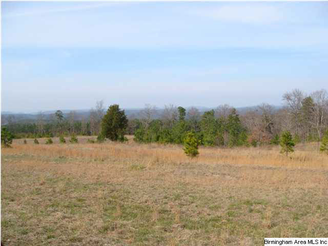 Pine Mountain Road, Unit 7 Springville, AL 35146 - Photo 9 of 11 Gallery Image 9
