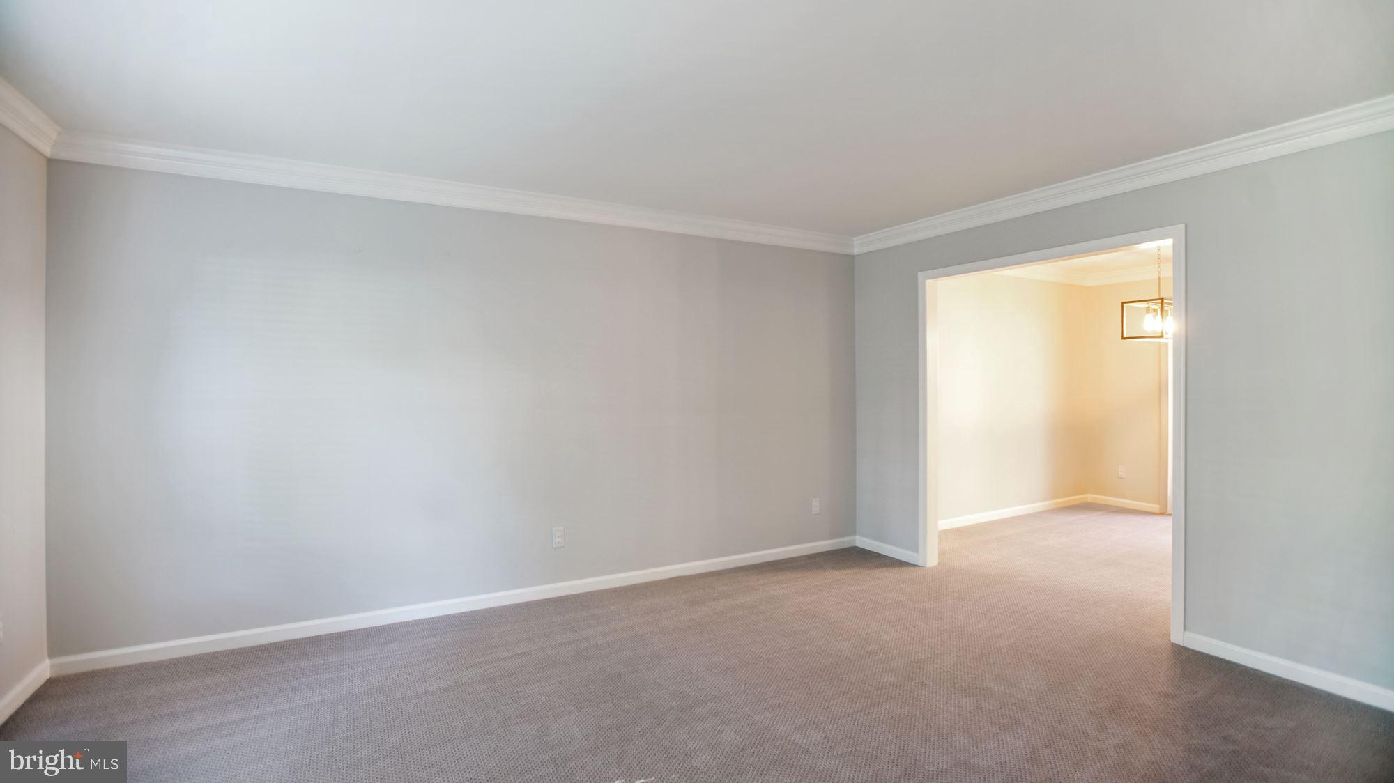 6002 Waterbury Court Springfield, VA 22152 - Photo 8 of 31 Living Rm w/crown molding, new carpet, fresh paint