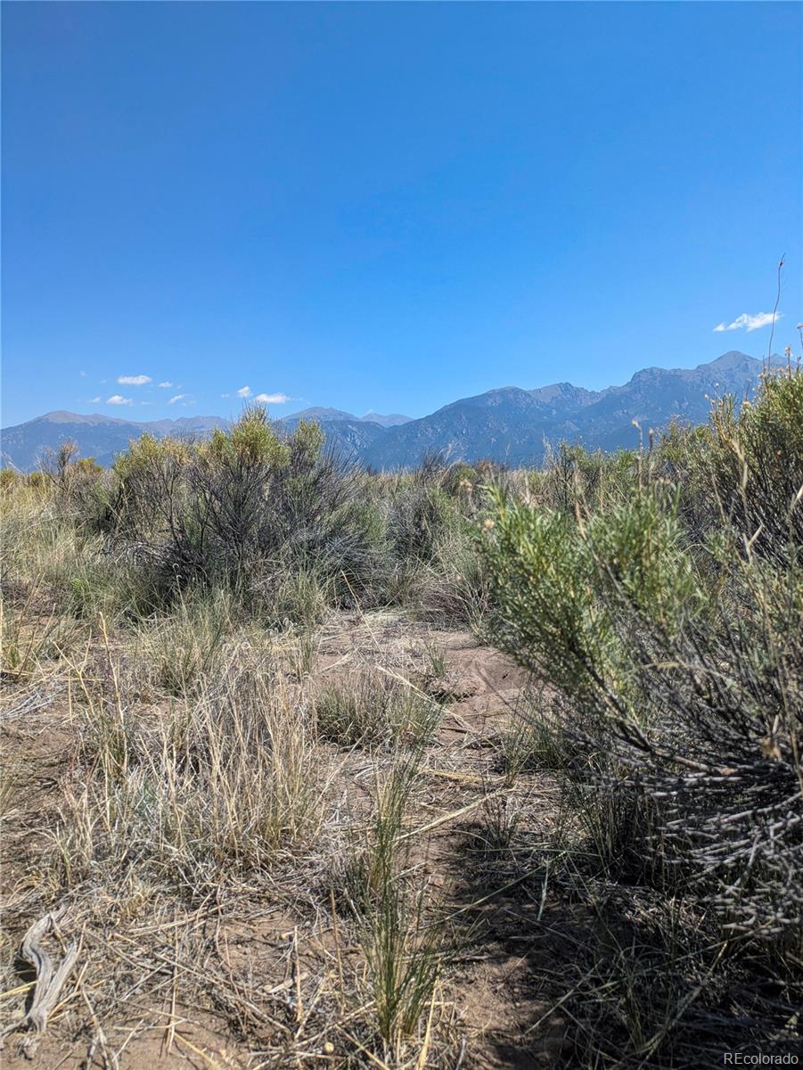 603 Quail Run Trail Crestone, CO 81131 - Photo 12 of 15