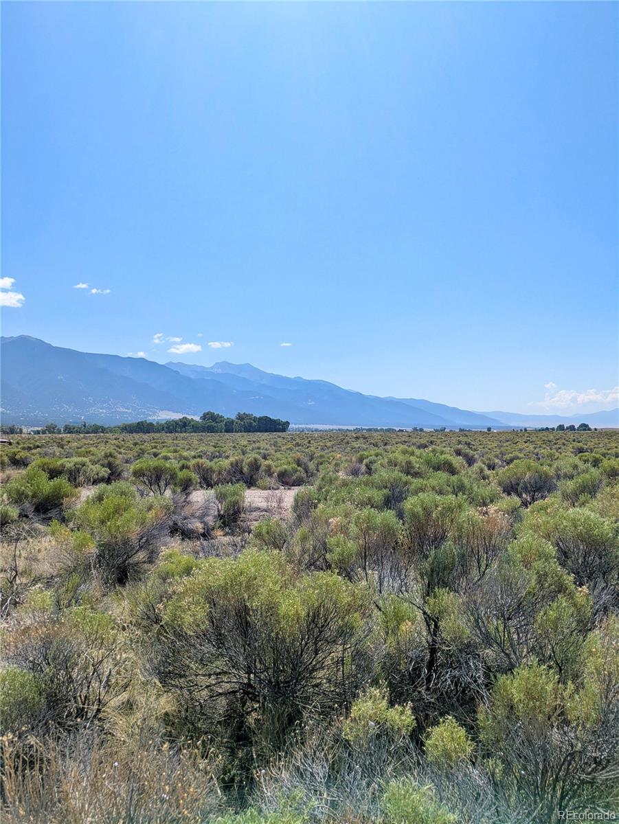 603 Quail Run Trail Crestone, CO 81131 - Photo 5 of 15