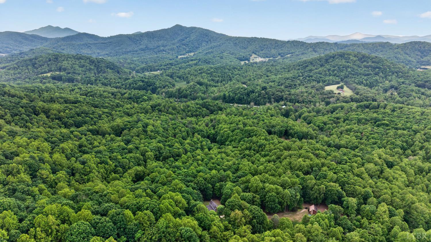 280 Hidden Acres Lane Amherst, VA 24521 - Photo 63 of 70