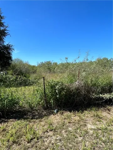 a view of a lake with a mountain in the background