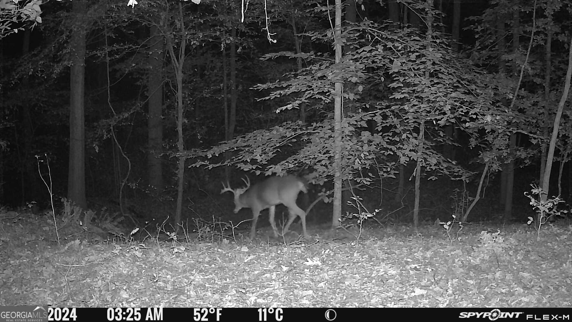 1590 James Adams Road Danielsville, GA 30633 - Photo 27 of 98