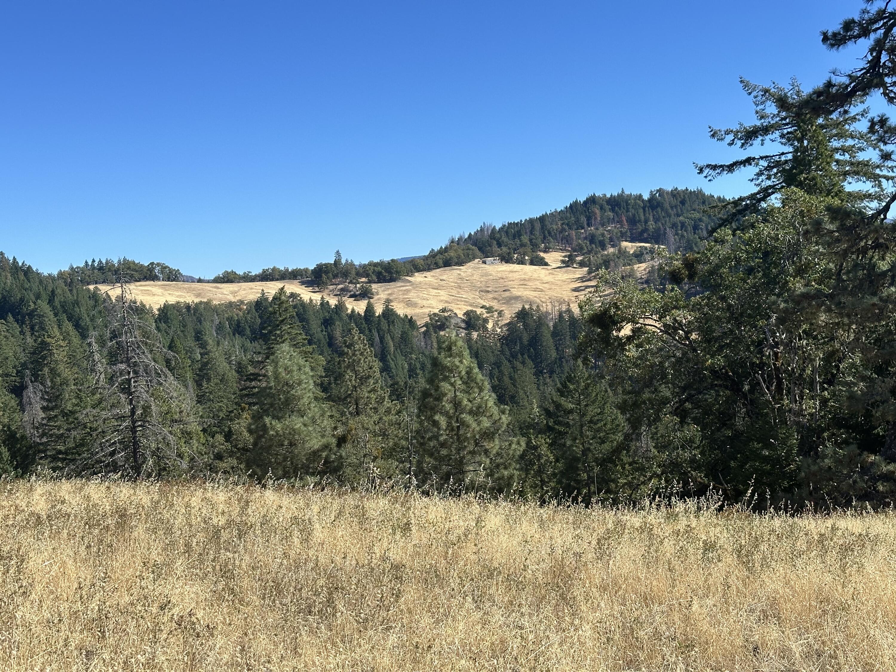 751 Lassic's Lookout Road Zenia, CA 95595 - Photo 16 of 29