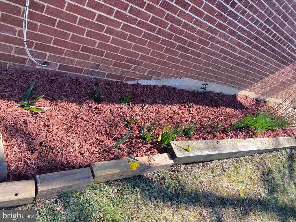 7511 Hogarth Street Springfield, VA 22151 - Photo 12 of 68 Side Flower bed