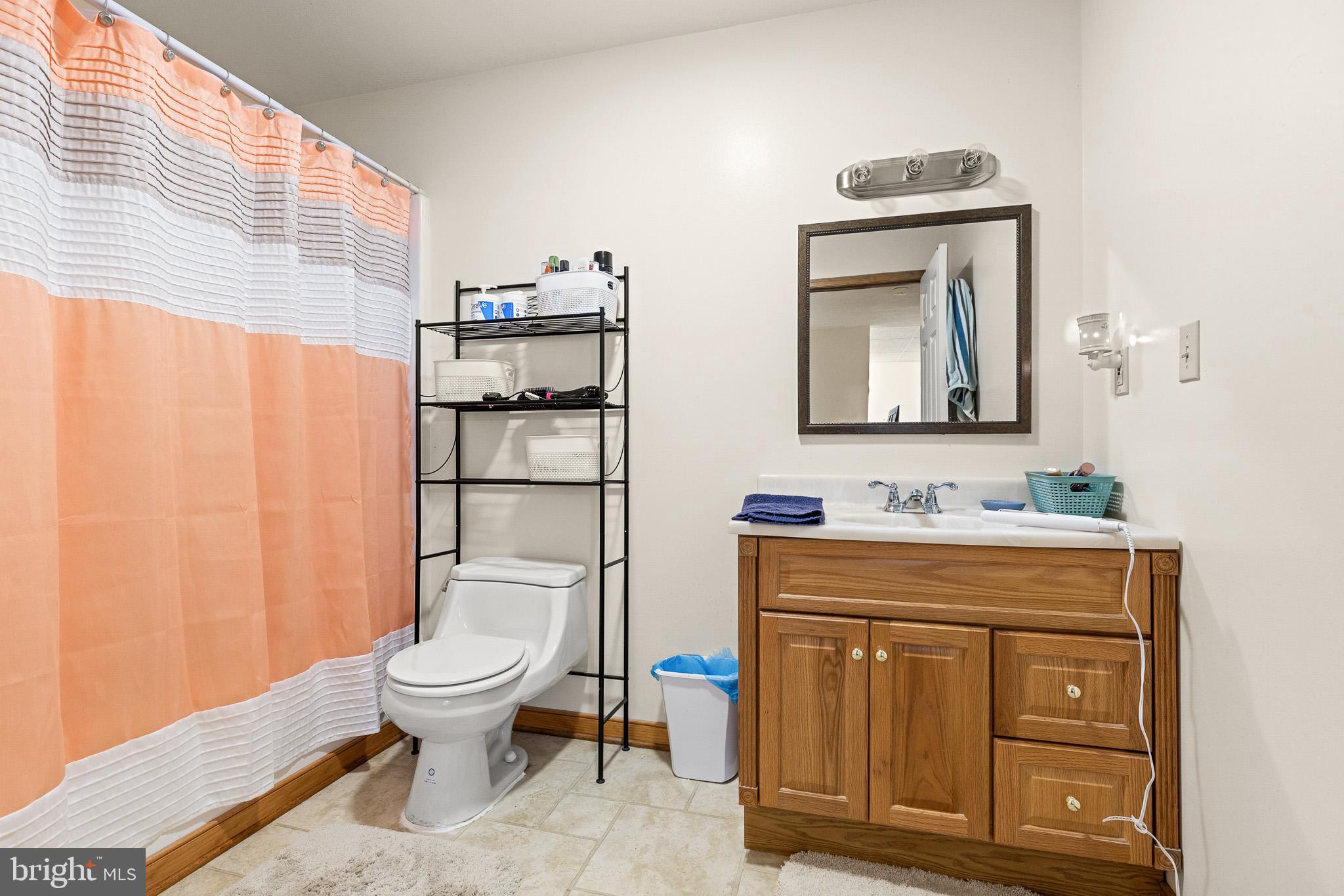 21246 Clarks Mountain Road Rapidan, VA 22733 - Photo 29 of 38 a bathroom with a toilet a sink and mirror