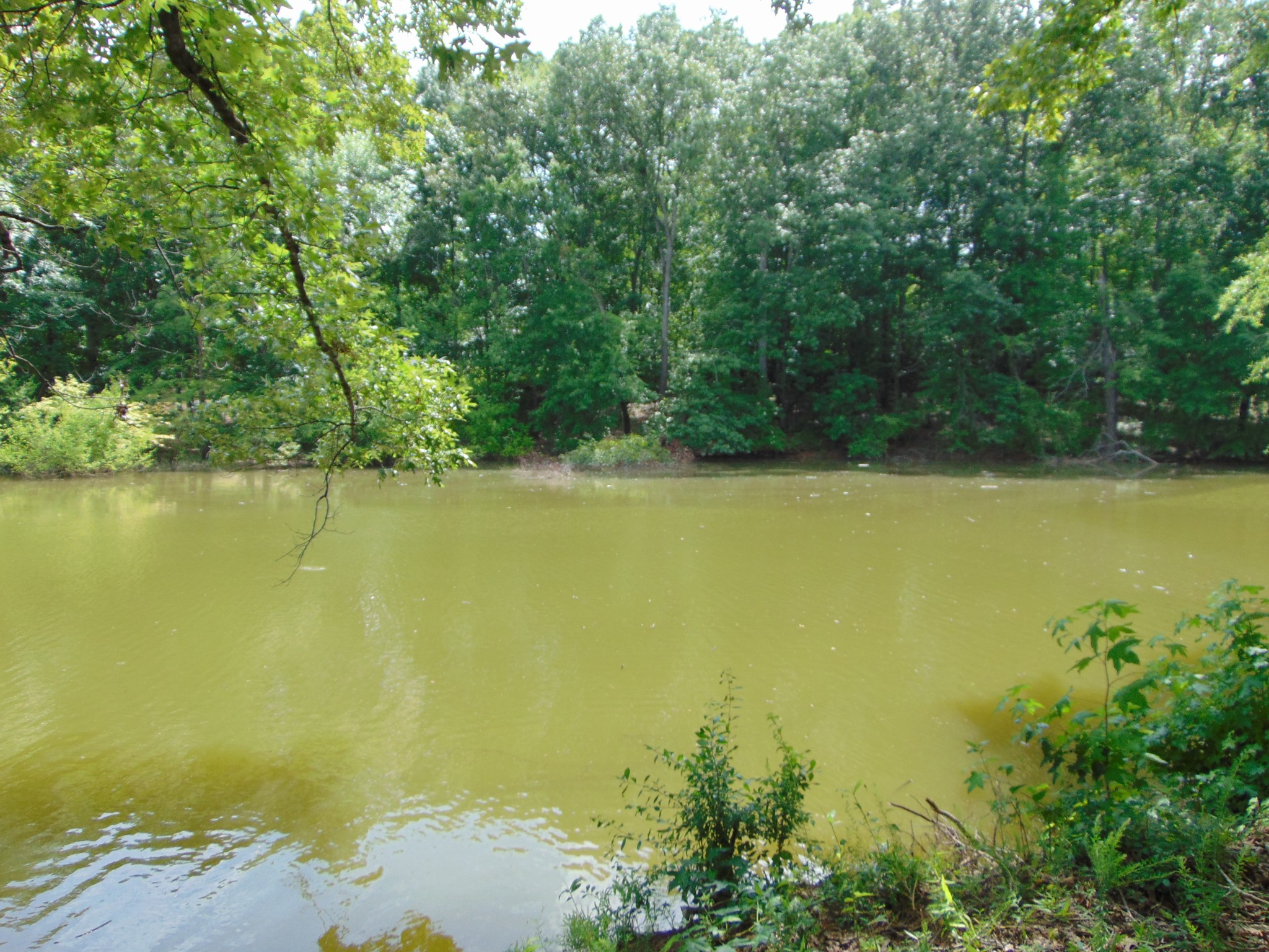 1 Beech Creek Road Clifton, TN 38425 - Photo 18 of 19