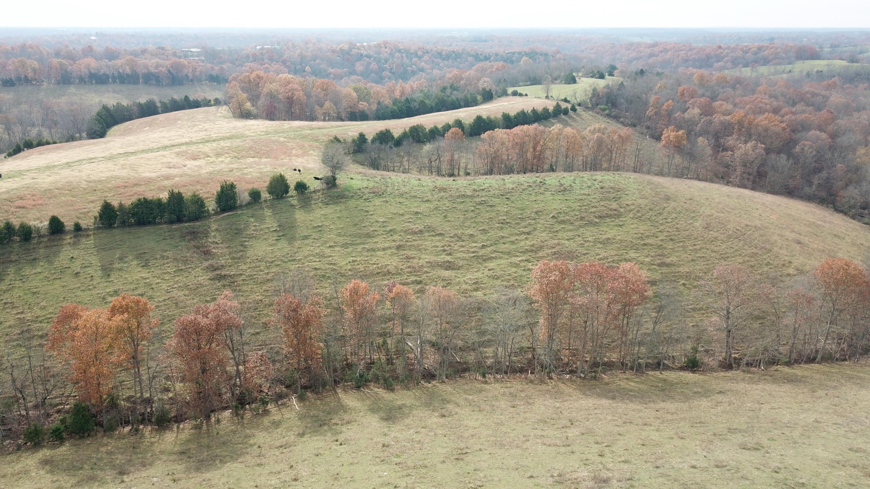 0 Gratz Road Owenton, KY 40359 - Photo 38 of 40