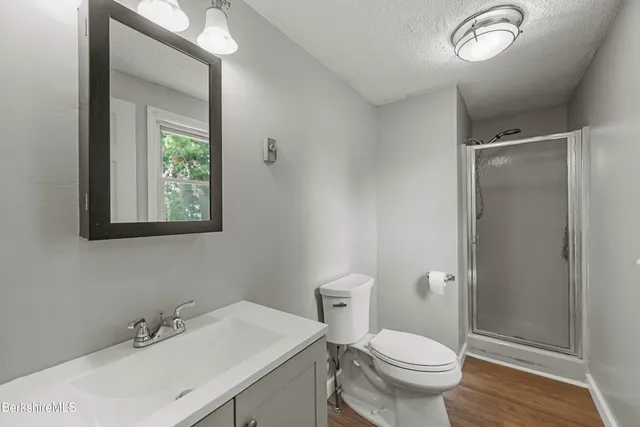 a bathroom with a sink vanity mirror and toilet