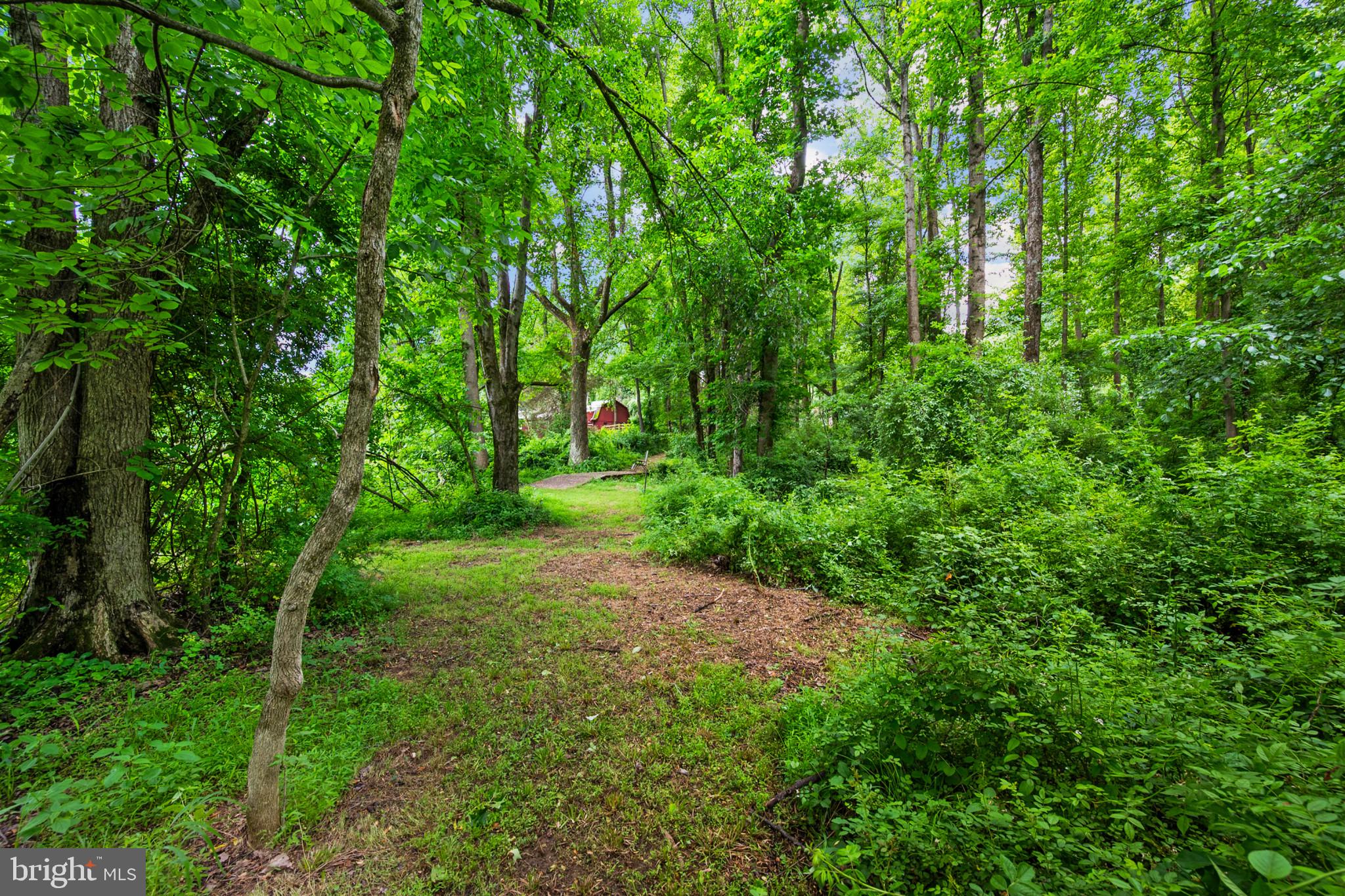 13112 Laurel Glen Road Clifton, VA 20124 - Photo 39 of 49