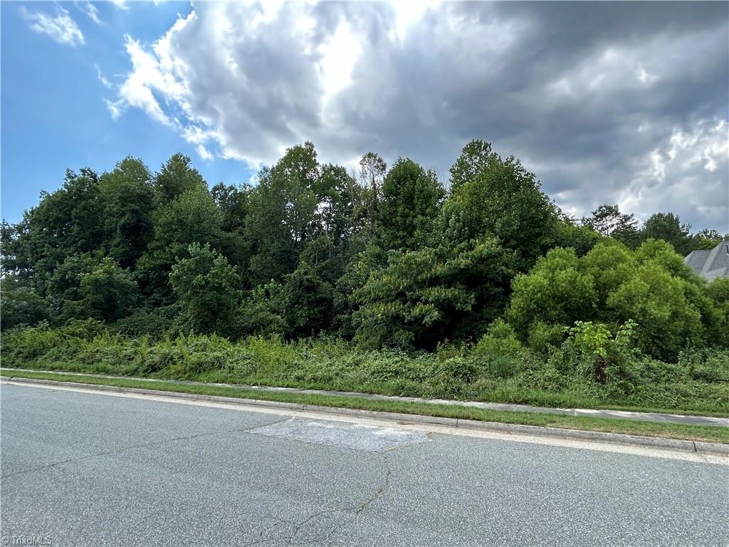 0 Belgian Drive Archdale, NC 27263 - Photo 2 of 2