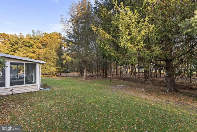 a view of a house with backyard and tree