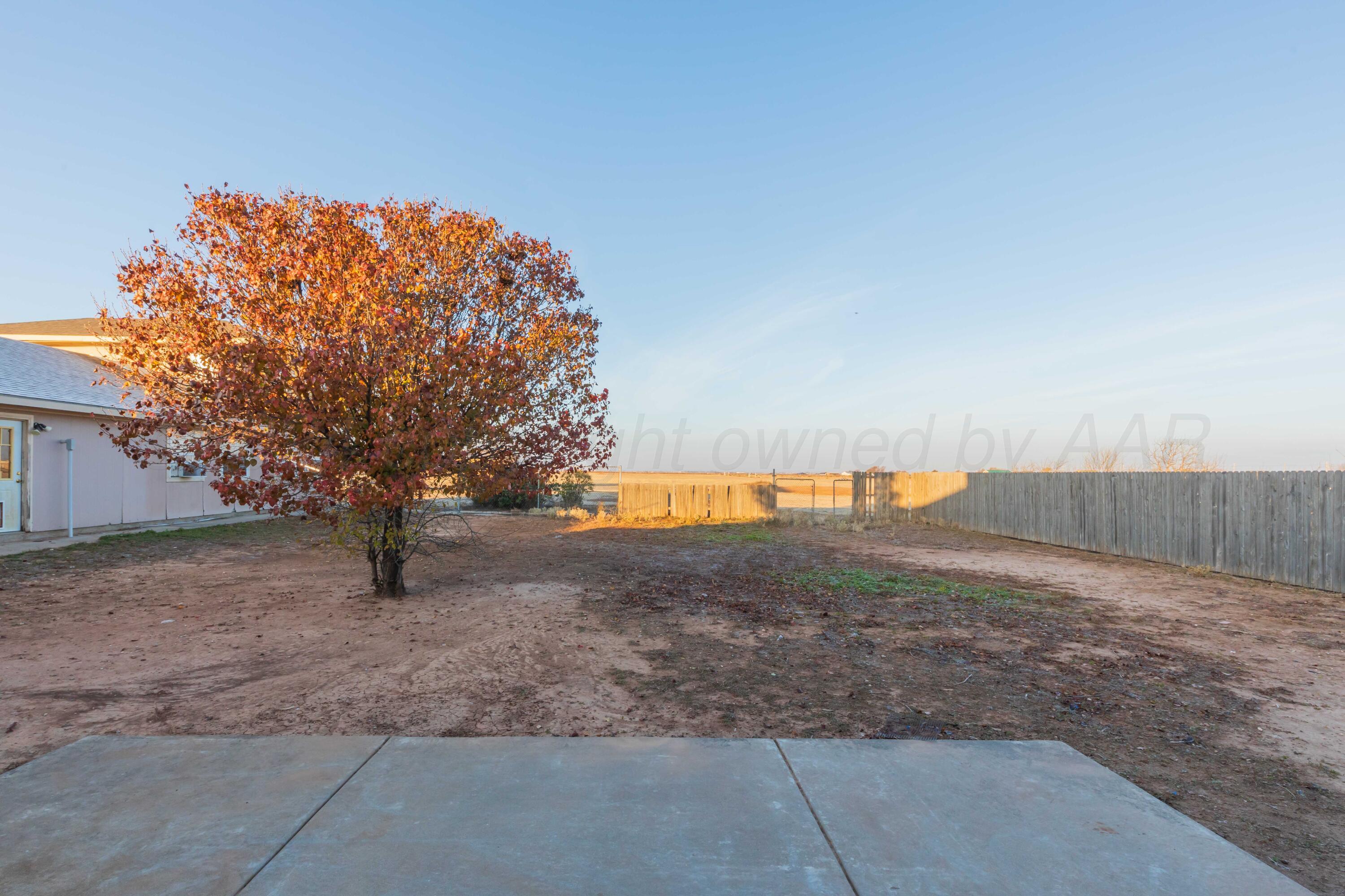 9100 Dowell Road Amarillo, TX 79119 - Photo 41 of 48 BACKYARD VIEW 1