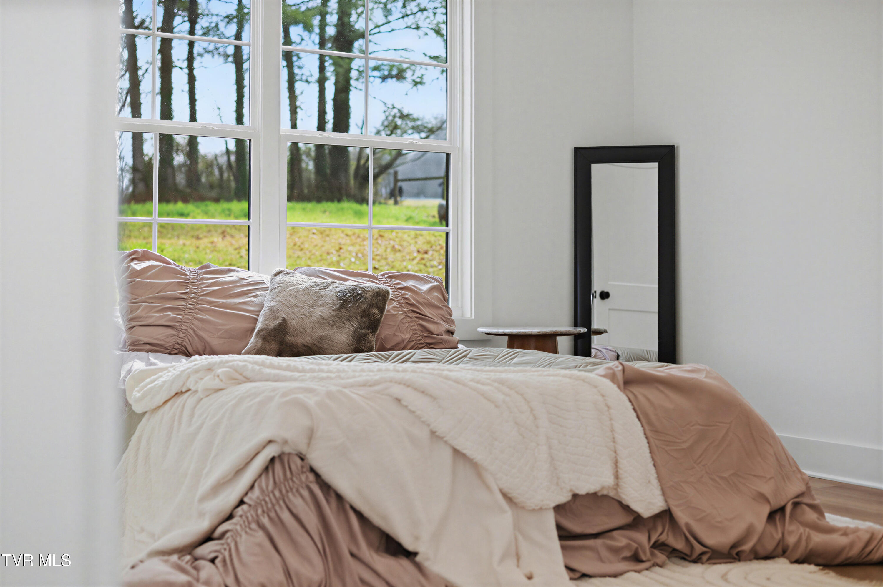 1521 Carroll Creek Road Johnson City, TN 37615 - Photo 32 of 53 The Sister Edit (4)