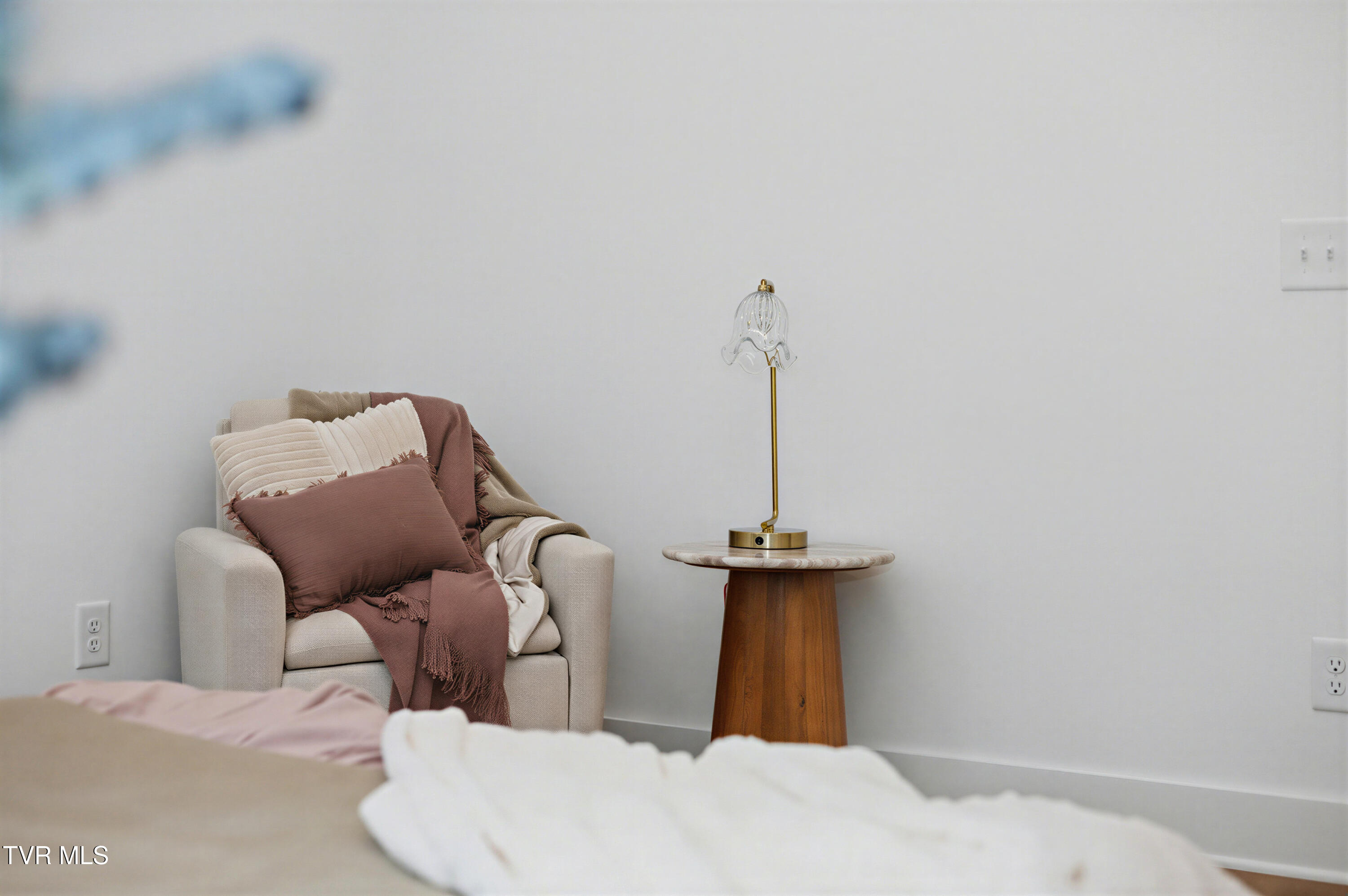 1521 Carroll Creek Road Johnson City, TN 37615 - Photo 41 of 53 The Sister Edit (39)