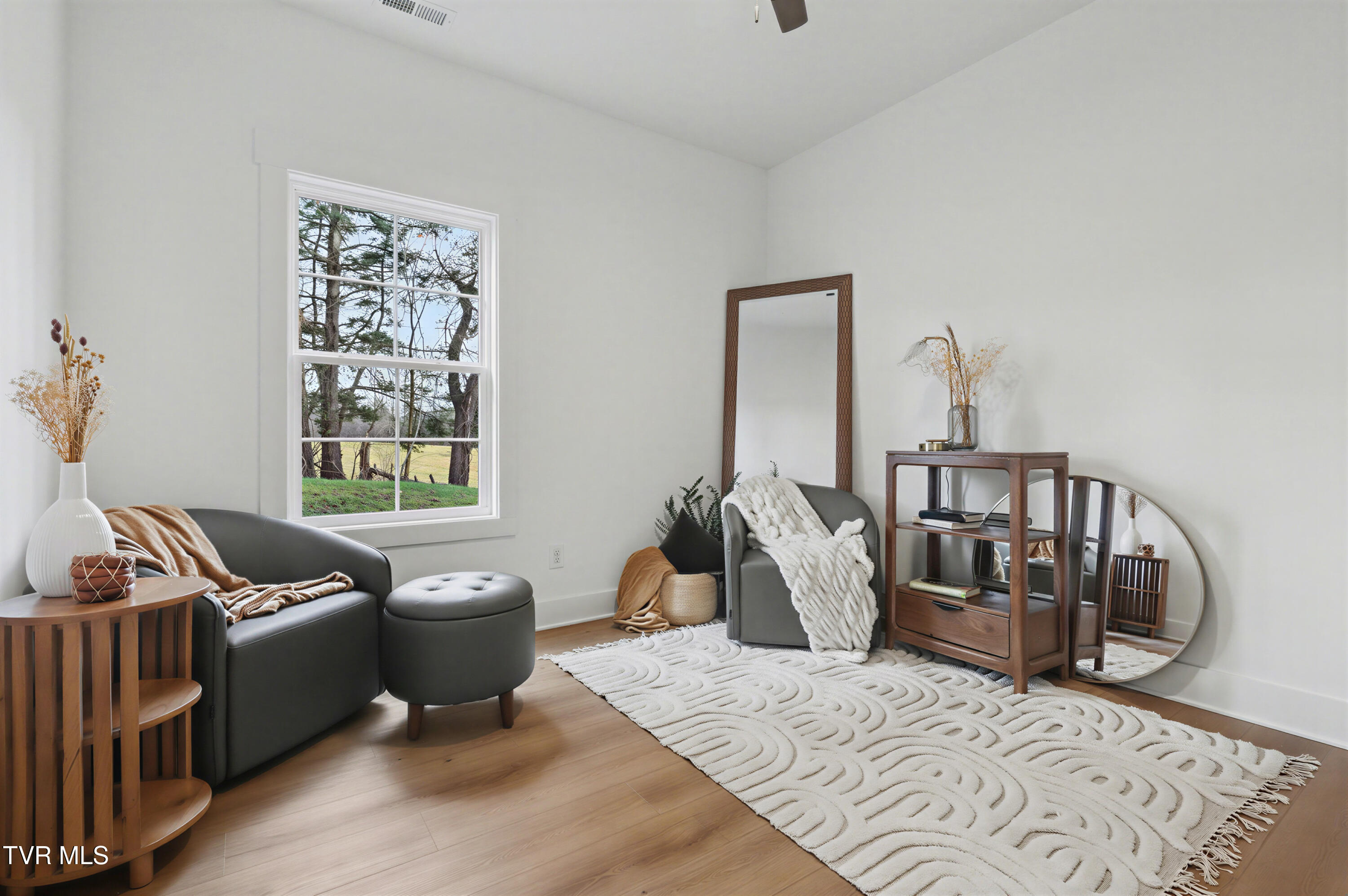 1521 Carroll Creek Road Johnson City, TN 37615 - Photo 10 of 53 The Sister Edit (12)