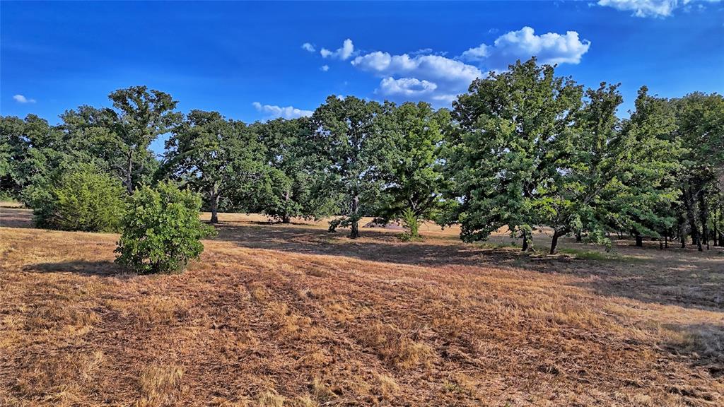 384 Red Oak Hills Road Nocona, TX 76255 - Photo 19 of 31 Gallery Image 19