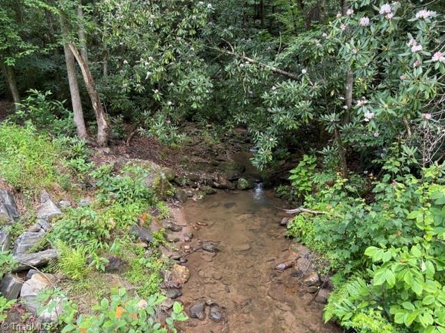 0 Shell Creek Road Ferguson, NC 28624 - Photo 2 of 11