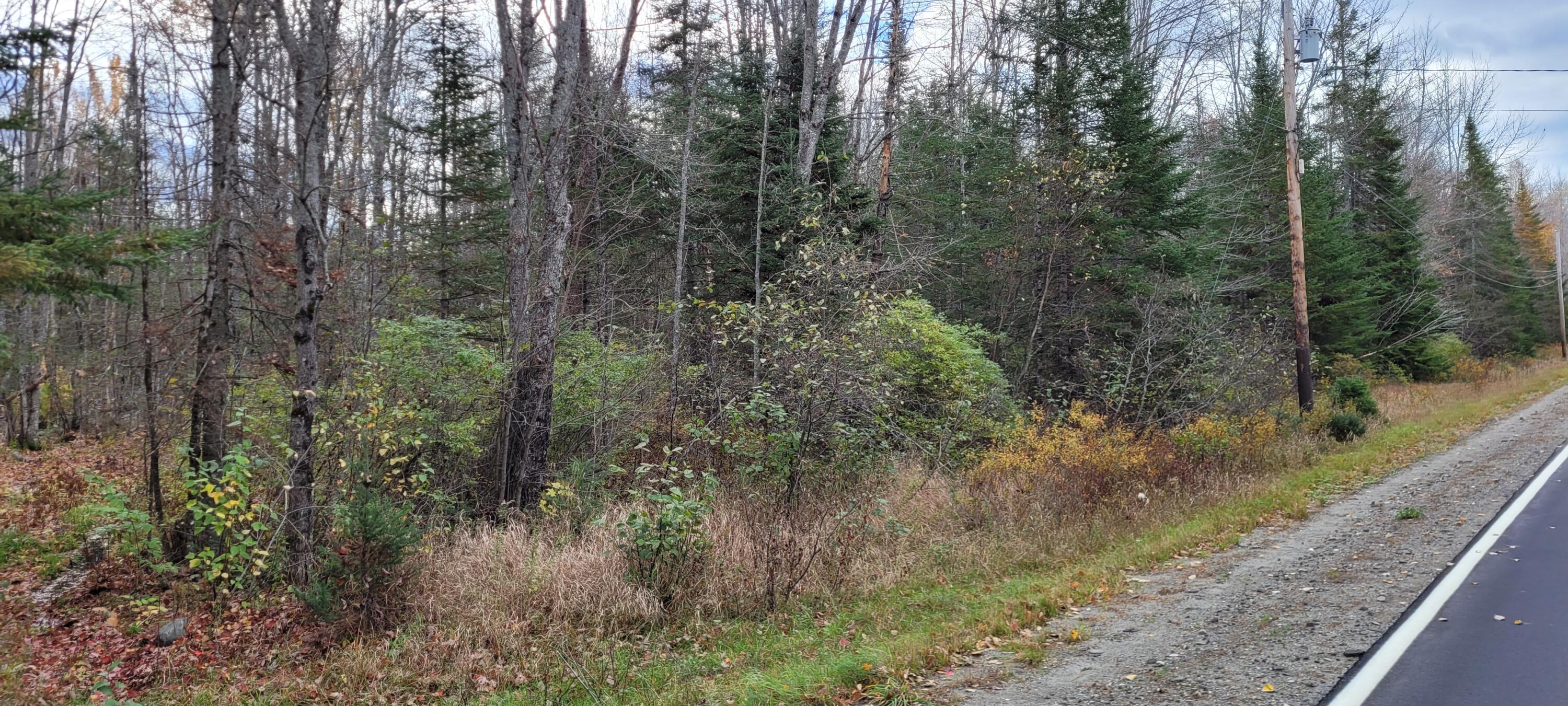 0 Storer Road Bradford, ME 04410 - Photo 20 of 27 20211019_100013
