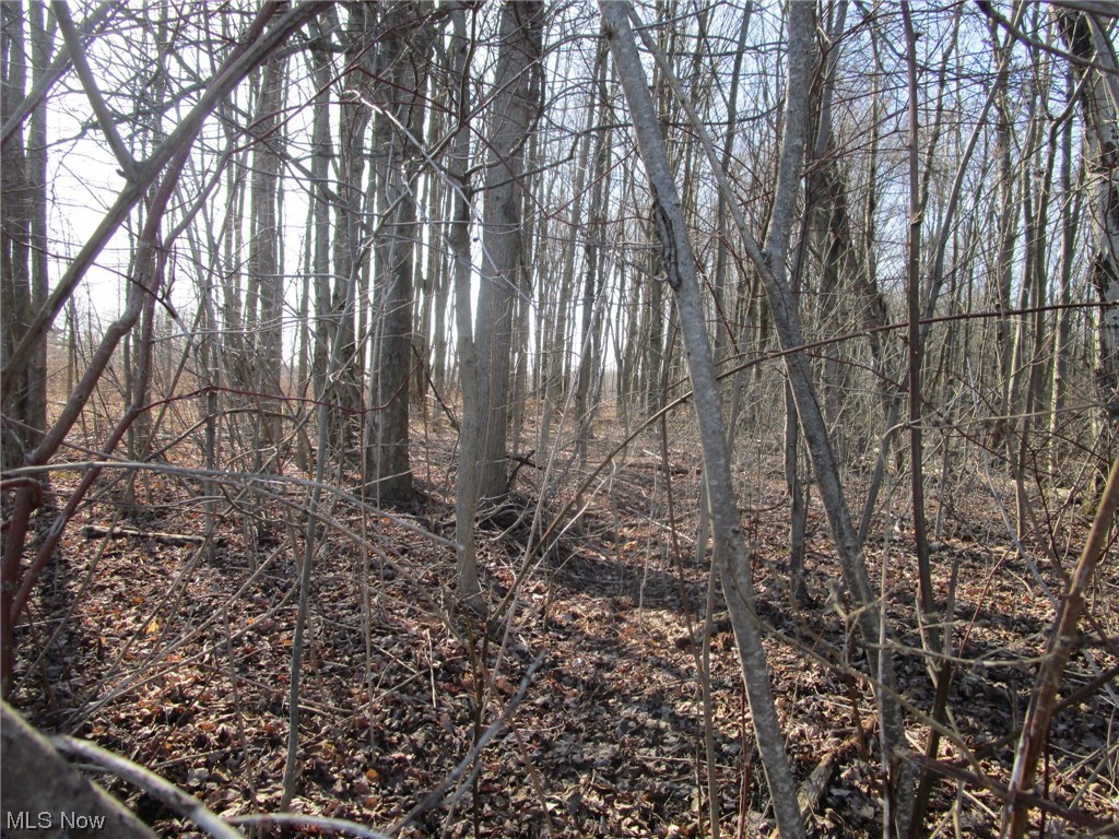 1 Middle Road Pierpont, OH 44082 - Photo 9 of 14