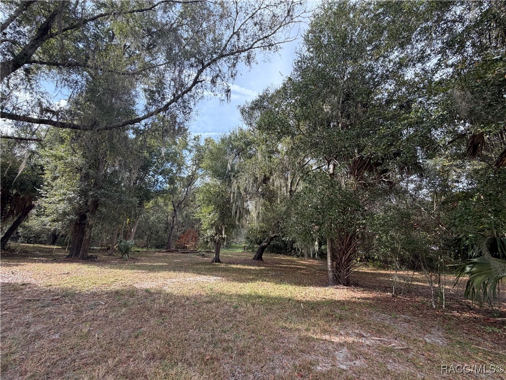 No Address No Address 201st Street Inglis, FL 34449 - Photo 1 of 9