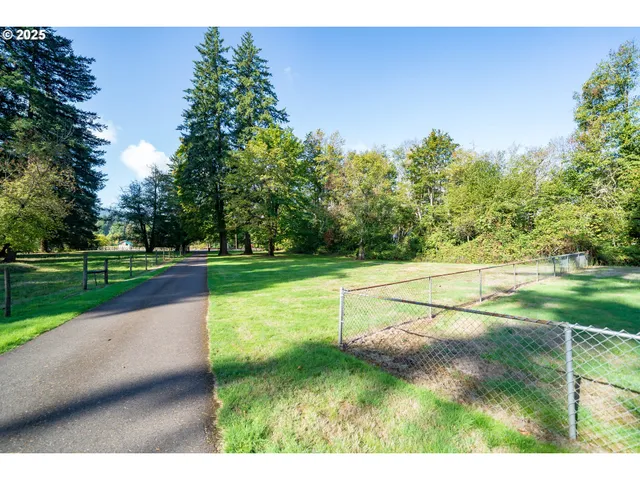 a view of a park with large trees