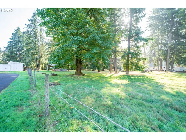 a view of outdoor space with trees all around