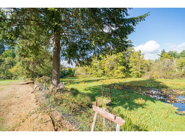a view of outdoor space and yard
