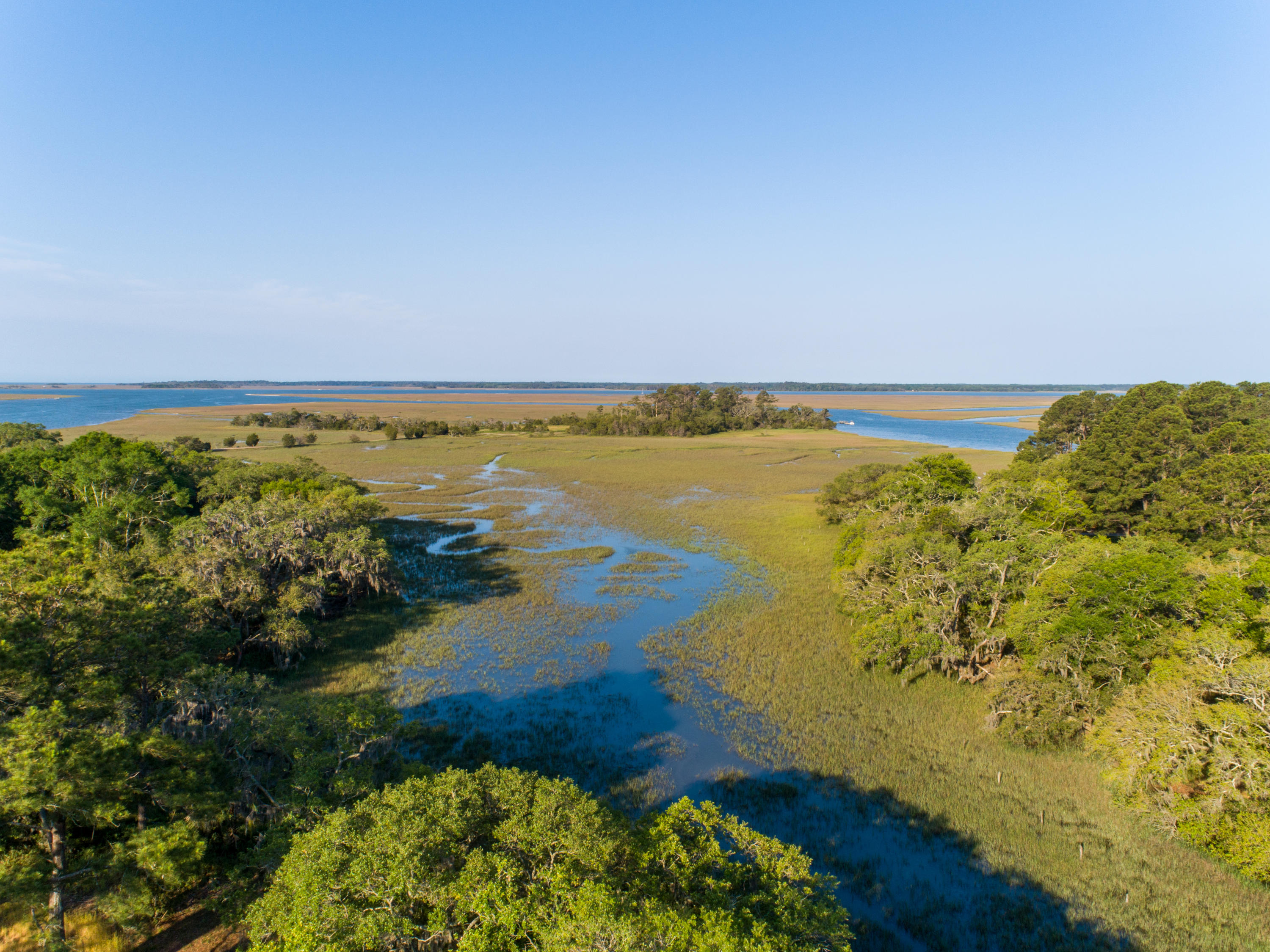 0 Midge Road Wadmalaw Island, SC 29487 - Photo 1 of 23 Midge Lane - Edwards -2