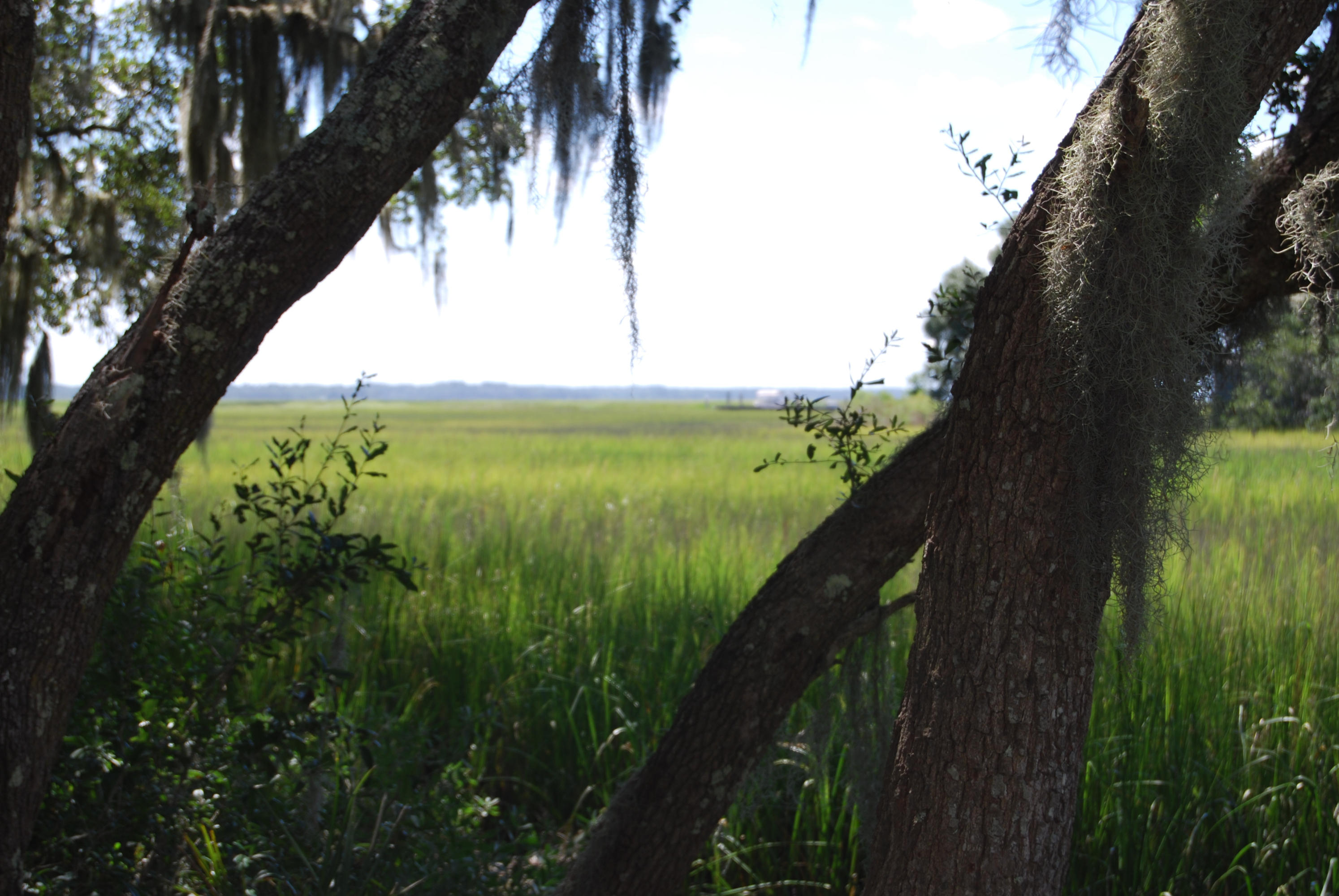 0 Midge Road Wadmalaw Island, SC 29487 - Photo 19 of 23 DSC_0010