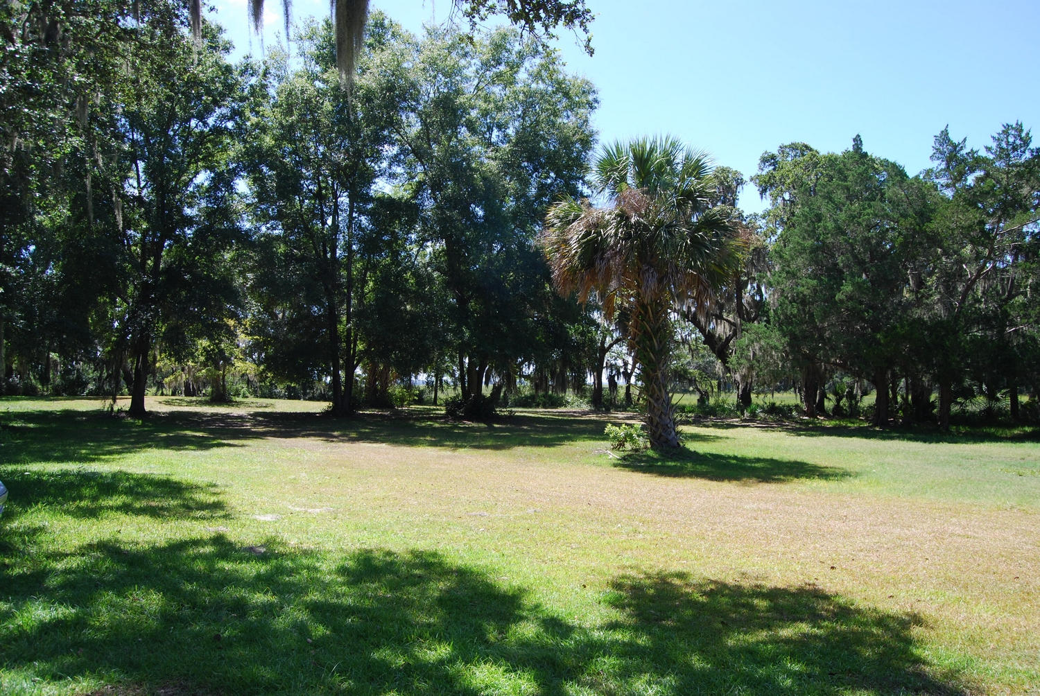 0 Midge Road Wadmalaw Island, SC 29487 - Photo 21 of 23 thumb_DSC_0008