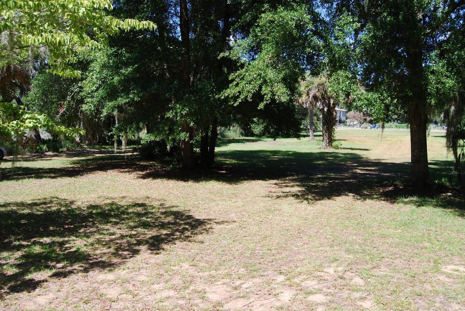 0 Midge Road Wadmalaw Island, SC 29487 - Photo 22 of 23 thumb_DSC_0011