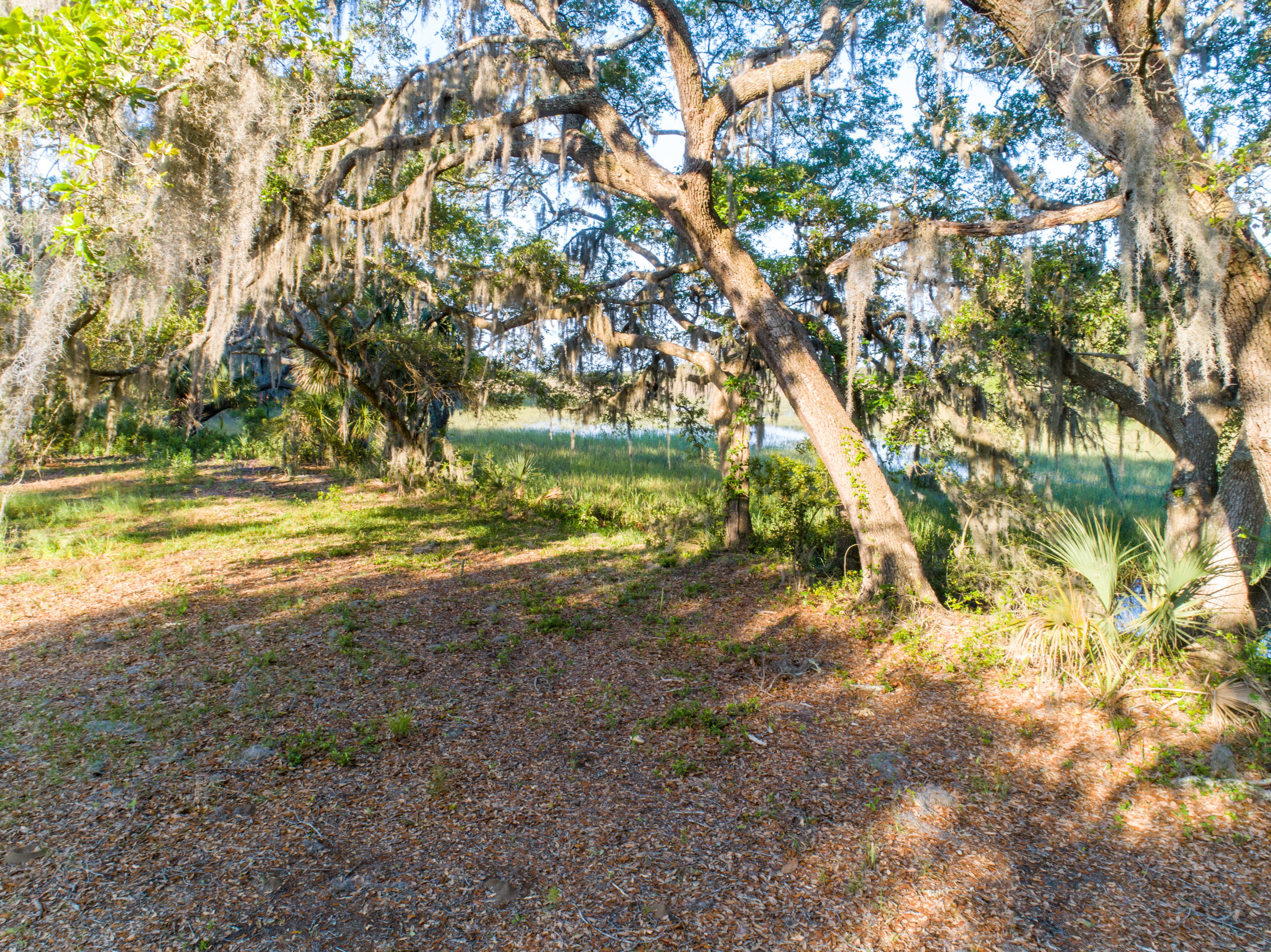 0 Midge Road Wadmalaw Island, SC 29487 - Photo 5 of 23 Midge Lane - Edwards -3