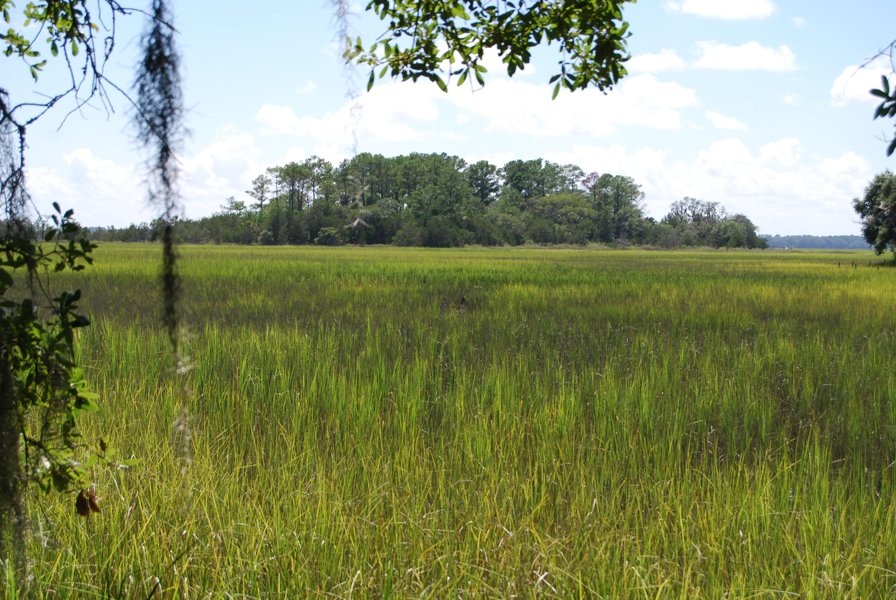 0 Midge Road Wadmalaw Island, SC 29487 - Photo 9 of 23 DSC_0005