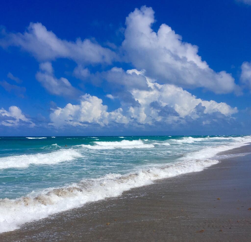 1683 Frederick Small Road Jupiter, FL 33458 - Photo 45 of 48 Jupiter Beach