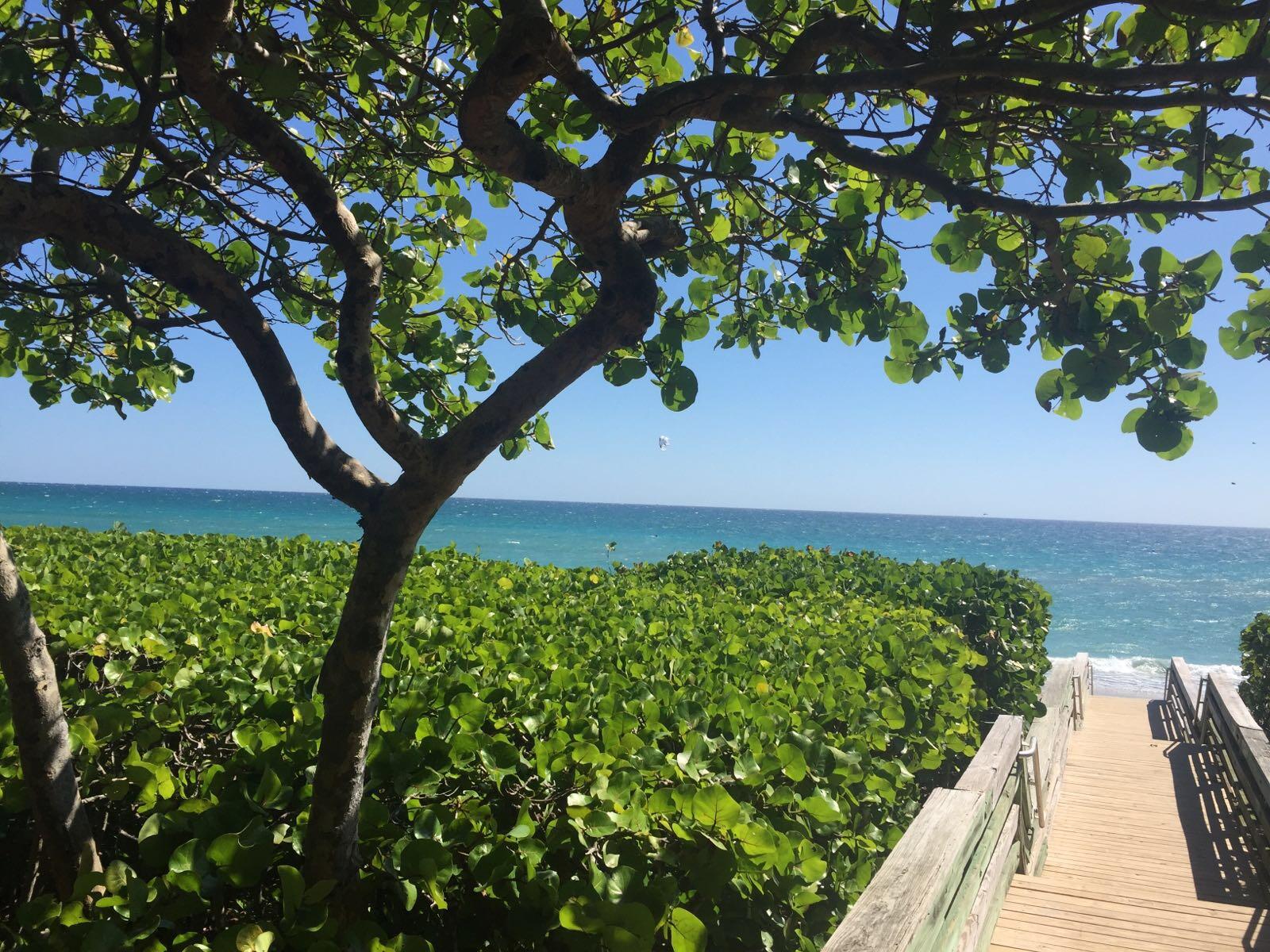 1683 Frederick Small Road Jupiter, FL 33458 - Photo 46 of 48 Jupiter Beach access