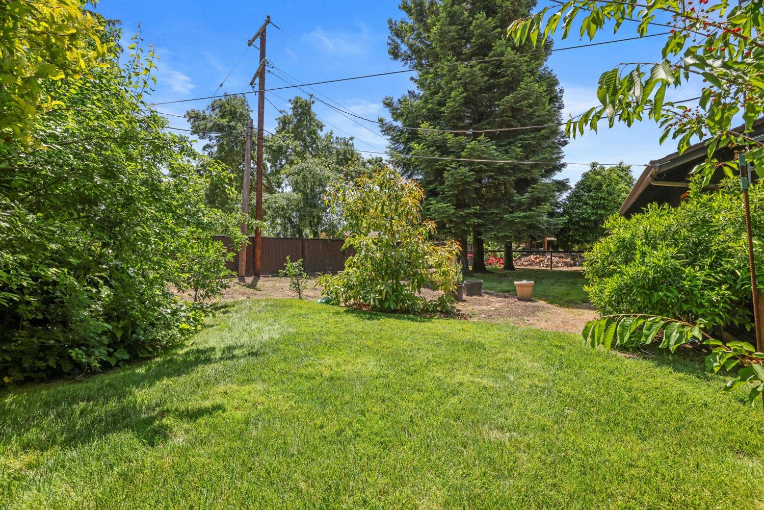 5348 Shippee Lane Stockton, CA 95212 - Photo 33 of 35 a view of a back yard