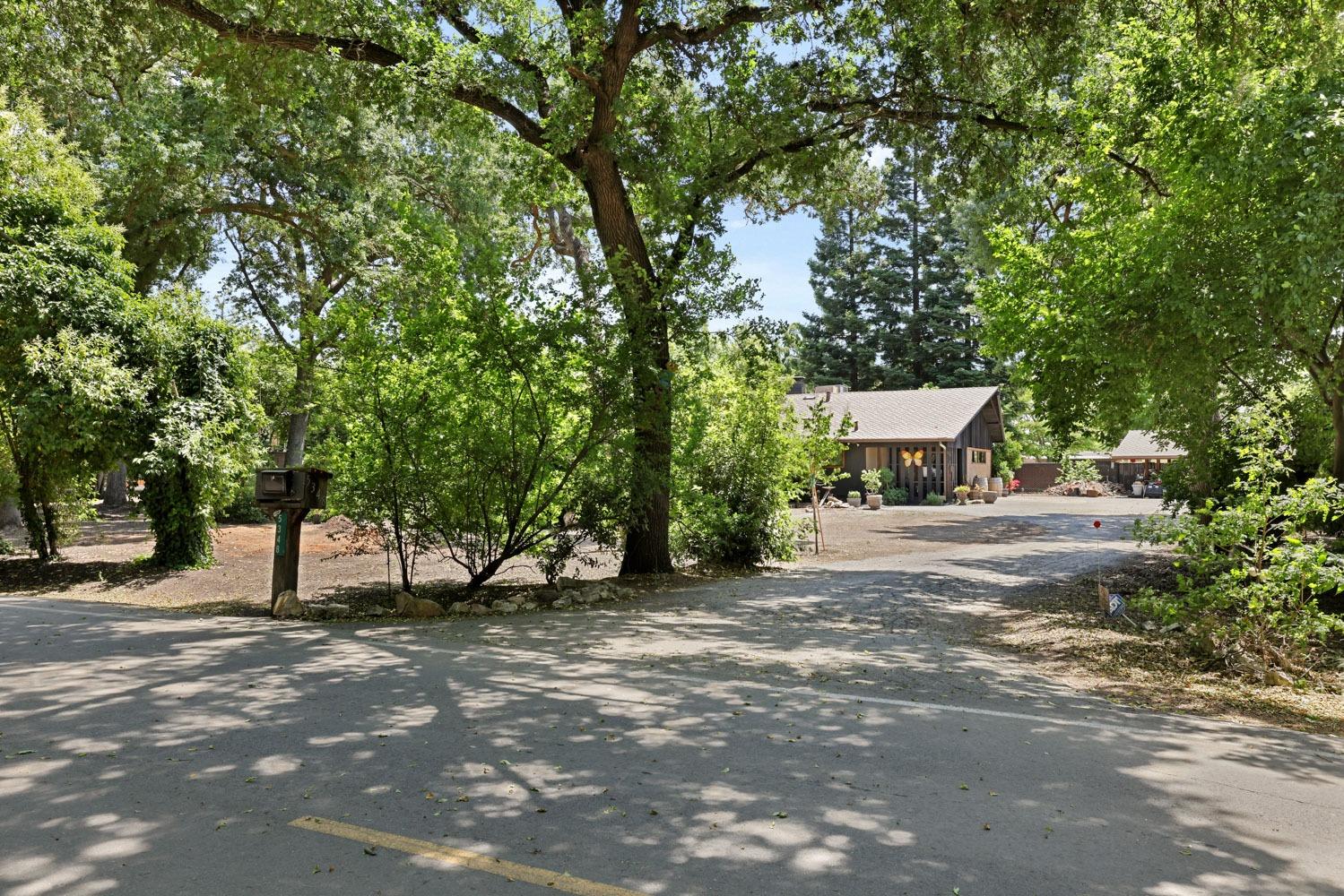 5348 Shippee Lane Stockton, CA 95212 - Photo 35 of 35 a view of outdoor space with trees