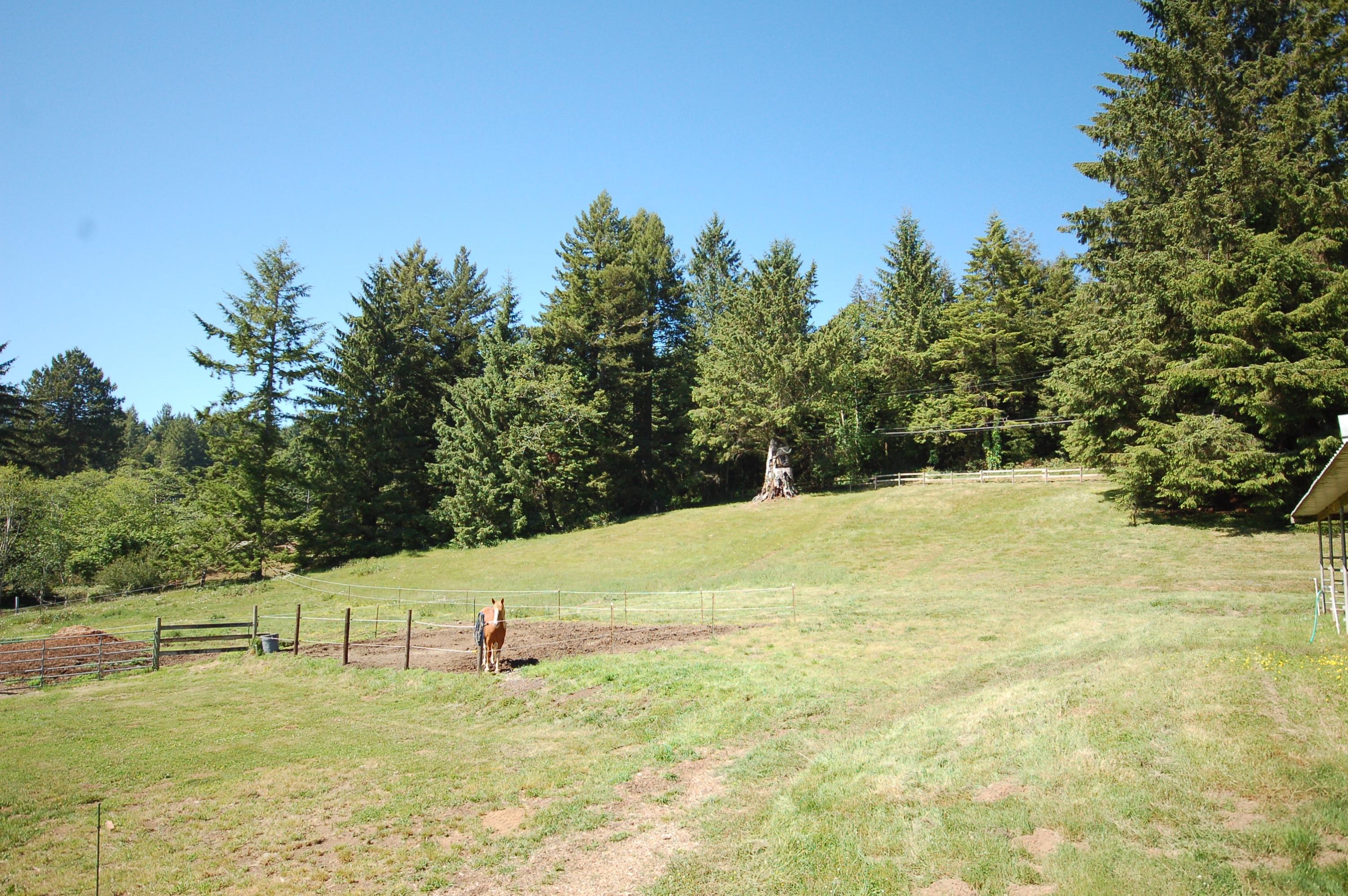 2969 Fickle Hill Road Arcata, CA 95521 - Photo 12 of 50 Gallery Image 12