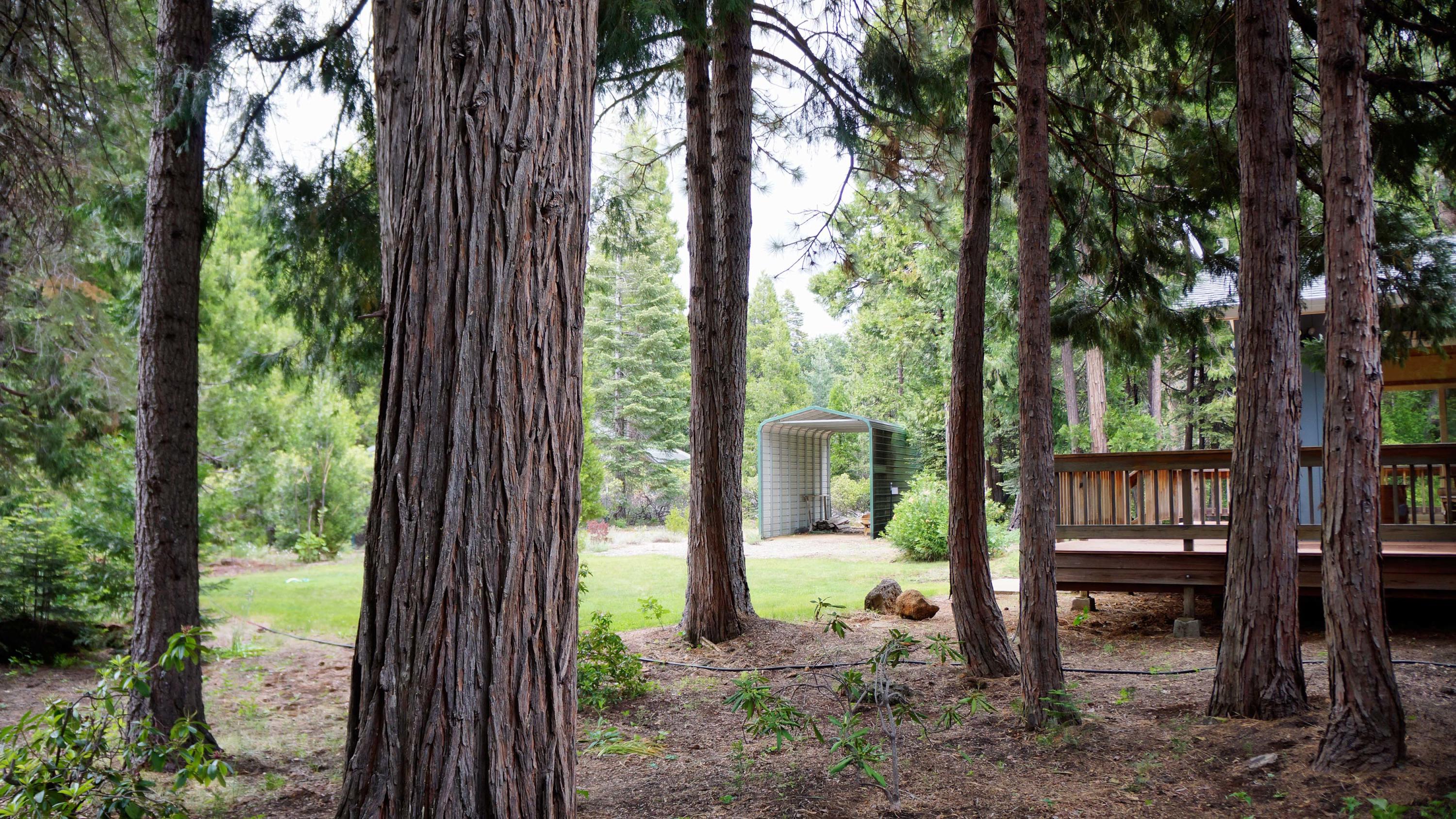 8222 Ritts Mill Road Shingletown, CA 96088 - Photo 11 of 50 Property View
