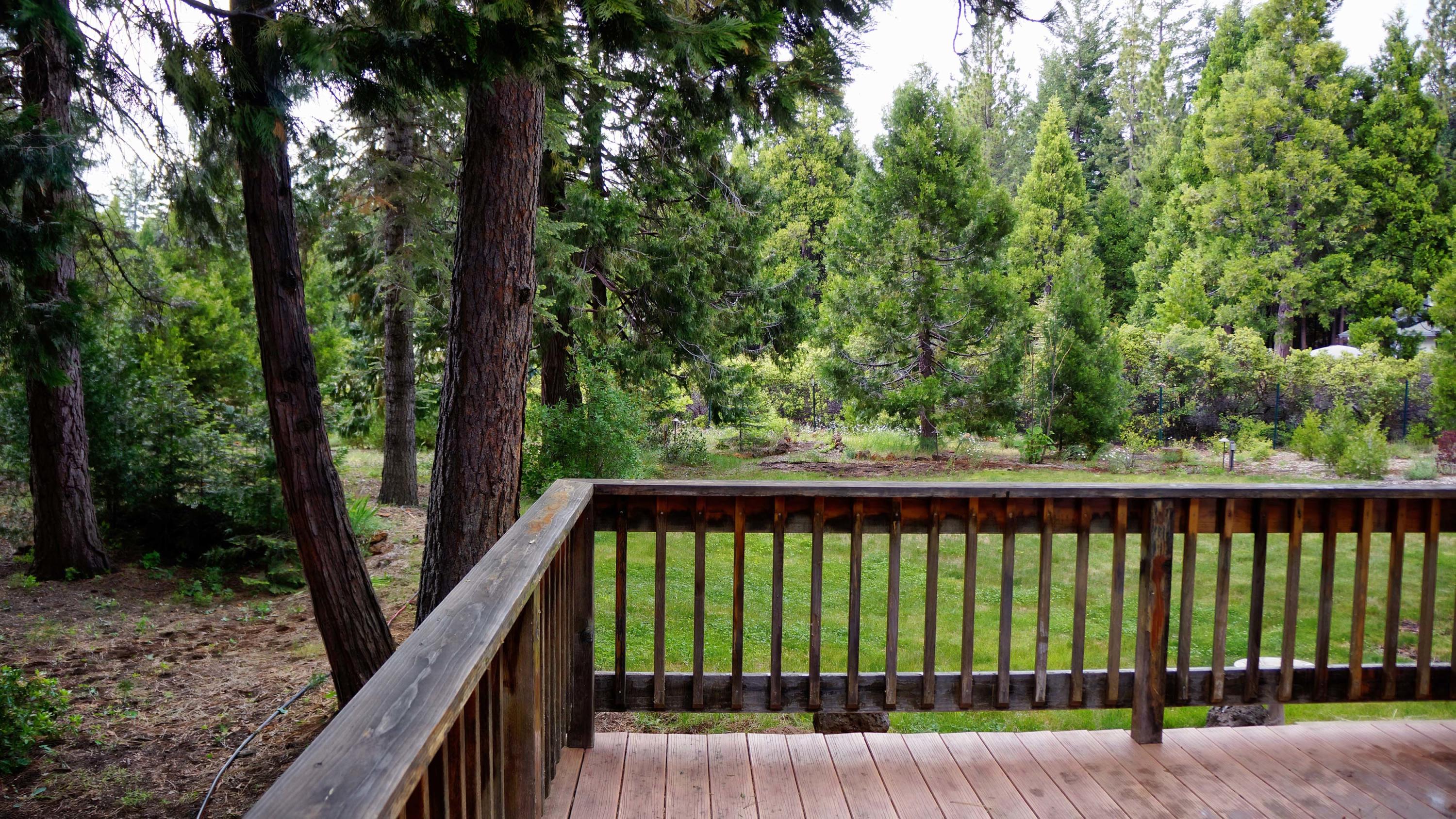 8222 Ritts Mill Road Shingletown, CA 96088 - Photo 5 of 50 Backyard Deck & Lawn View