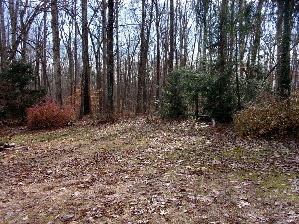 731 Morris Road Winston-Salem, NC 27101 - Photo 6 of 23 Gallery Image 6